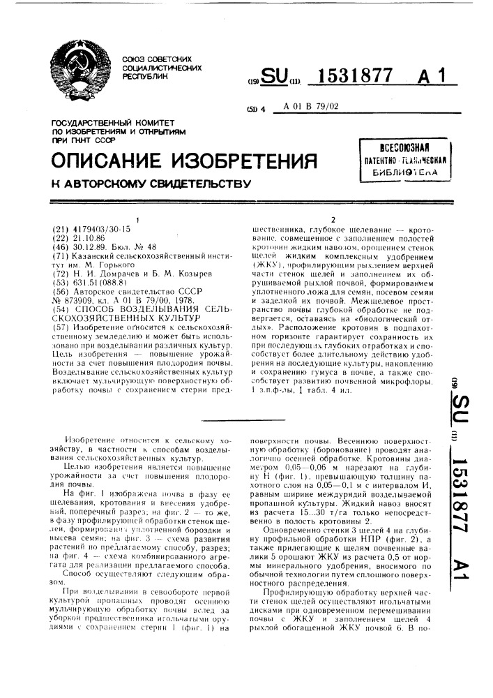Способ возделывания сельскохозяйственных культур (патент 1531877)