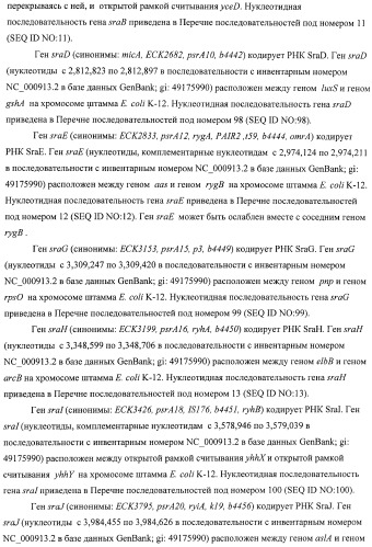 Способ получения l-аминокислот с использованием бактерии, принадлежащей к роду escherichia, в которой инактивирован один или несколько генов, кодирующих малые рнк (патент 2395567)