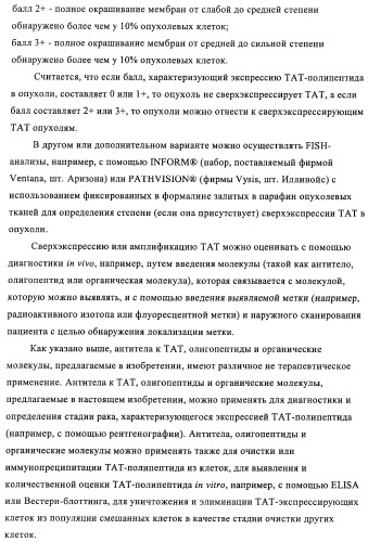 Композиции и способы диагностики и лечения опухоли (патент 2430112)