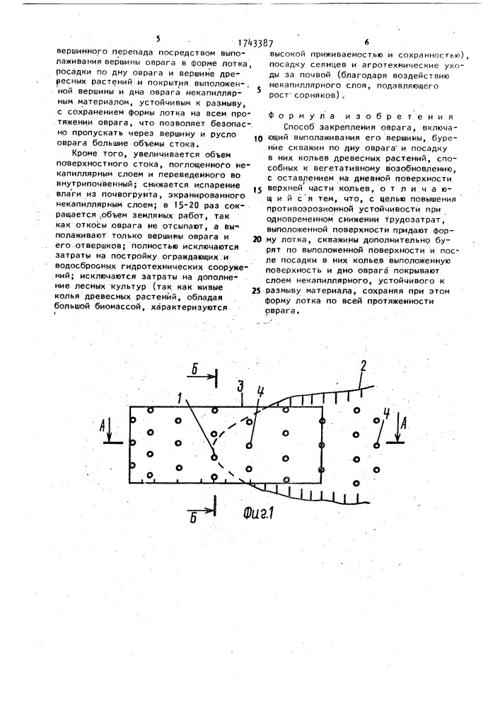 Способ закрепления оврага (патент 1743387)