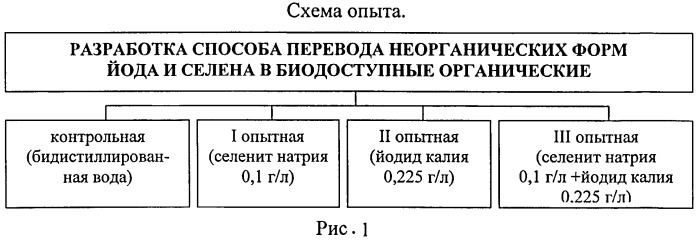 Способ обогащения семян биодоступными формами йода и селена (патент 2524540)