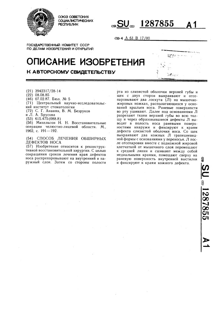 Способ лечения обширных дефектов носа (патент 1287855)