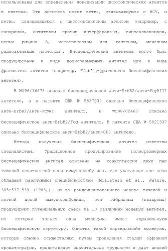 Антитела против вируса гепатита с (патент 2462475)