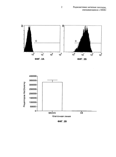 Радиоактивно меченые пептиды, связывающиеся с her2 (патент 2592685)