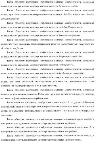 Бактерия - продуцент 1-бутанола и способ получения 1-бутанола (патент 2431672)