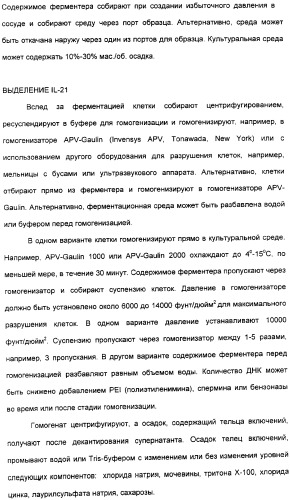 Продуцирование il-21 в прокариотических клетках-хозяевах (патент 2354703)