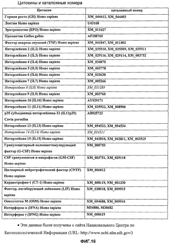 Слитый белок, ингибирующий рецепторную передачу сигнала гормона роста (варианты), способ его получения и очистки и фармацевтическая композиция на его основе (патент 2340628)