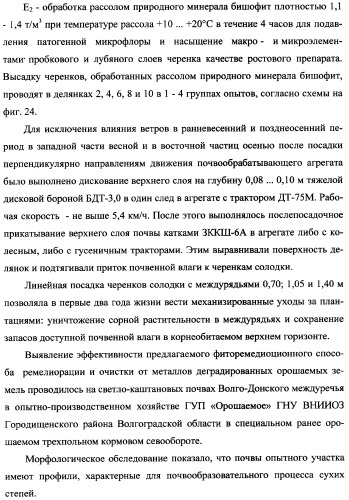 Фиторемедиационный способ очистки почв от тяжелых металлов (патент 2359444)