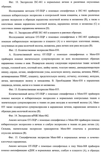 Идентификация опухолевых антигенов для диагностики и терапии (патент 2485974)