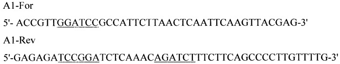 Рекомбинантная плазмида pd1spgbd, штамм escherichia coli - продуцент рекомбинантного белка d1-gbd, рекомбинантный белок d1-gbd и способ его получения, способ исследования связывания белка d1-gbd с антителами сывороток больных, способ получения специфических антител к белку d1-gbd (патент 2401302)