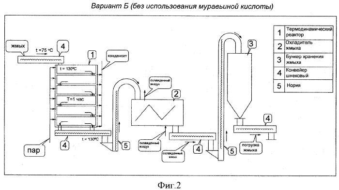 Способ получения белкового корма (варианты) (патент 2360431)