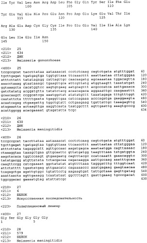 Гибридная и тандемная экспрессия белков нейссерий (патент 2339646)