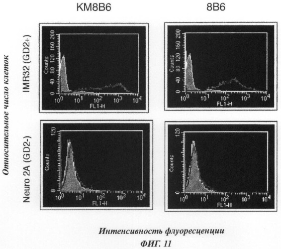 Применение моноклональных антител, специфичных к о-ацетилированной форме ганглиозида gd2, для лечения некоторых форм рака (патент 2462476)