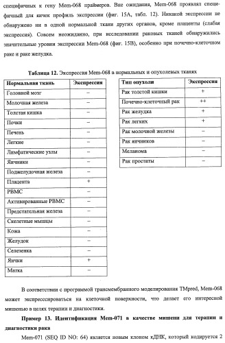 Идентификация опухолевых антигенов для диагностики и терапии (патент 2485974)