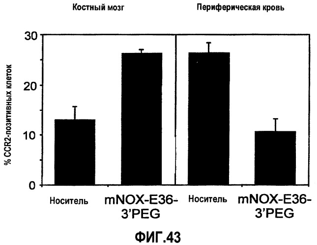 Нуклеиновые кислоты, связывающиеся с мср-1 (патент 2518330)