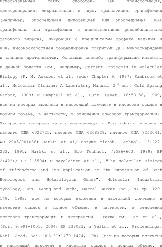 Полимеры изопрена из возобновляемых источников (патент 2505605)