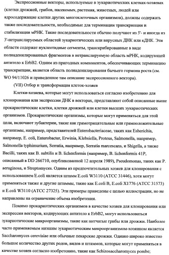 Способ лечения рака у человека (варианты), применяемая в способе форма (варианты) и применение антитела (варианты) (патент 2430739)