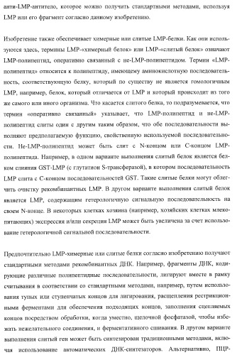 Молекулы нуклеиновых кислот, кодирующие wrinkled1-подобные полипептиды, и способы их применения в растениях (патент 2385347)