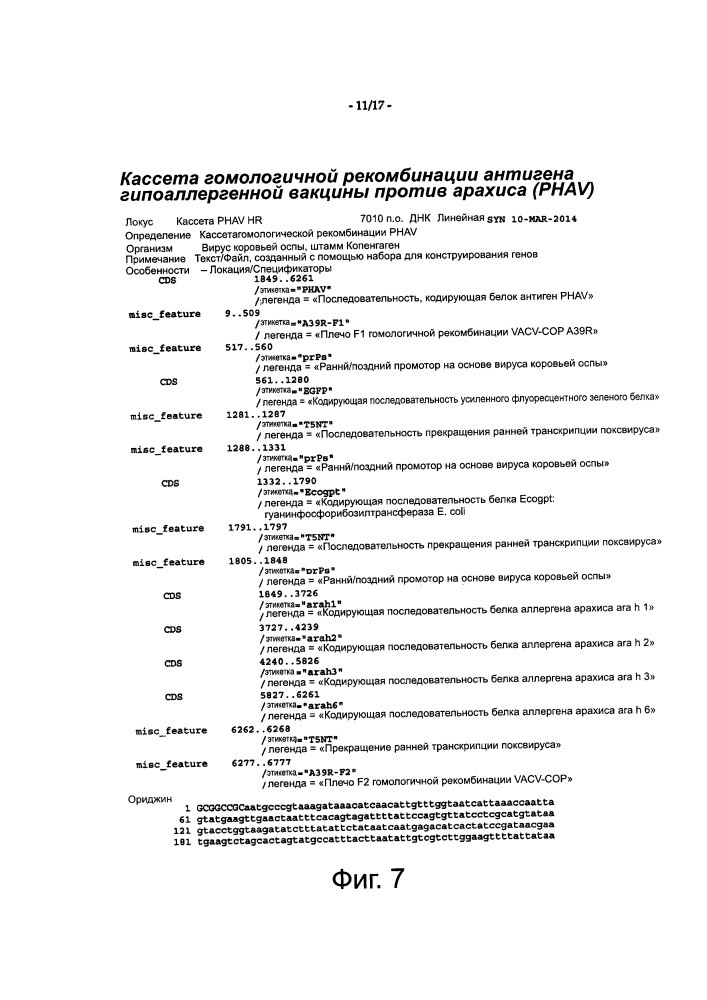 Иммунная модуляция (патент 2662927)