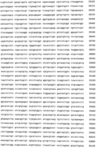 Бактериофаг, обладающий активностью против pseudomonas aeruginosa, белки бактериофага и способы их применения (патент 2580248)