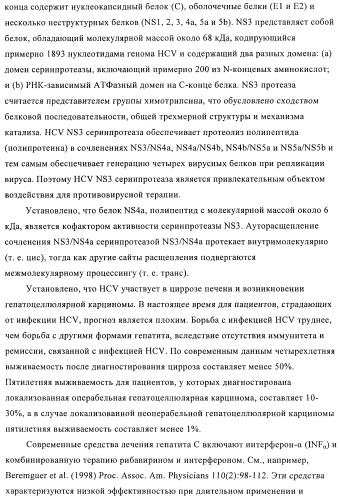 Ингибиторы hcv/вич и их применение (патент 2448976)