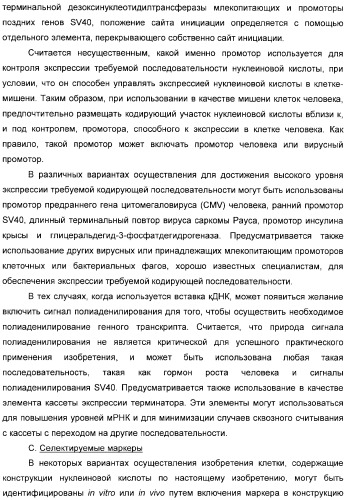 Использование уреазы для ингибирования роста раковых клеток (патент 2326691)
