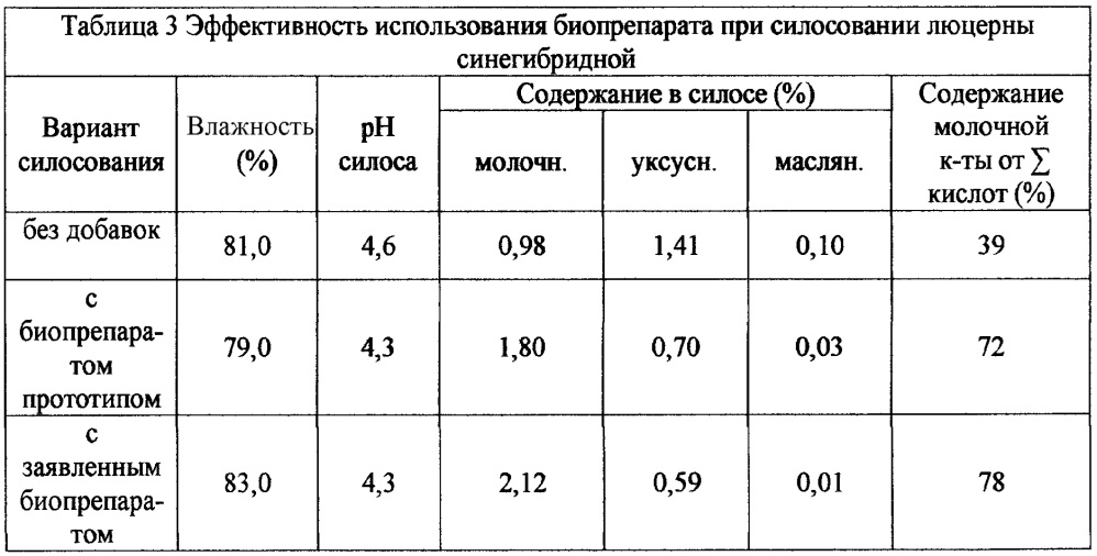 Способ получения биопрепарата для кормопроизводства (патент 2652814)