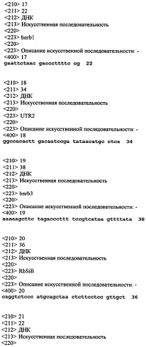 Способ получения гетерологичного белка в прорастающих семенах двудольных растений (патент 2273665)