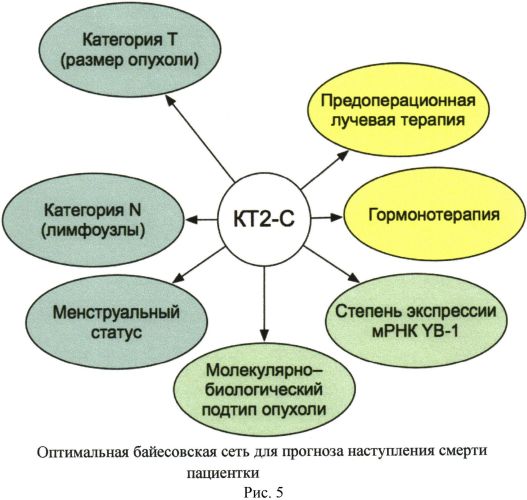 Способ прогнозирования исходов рака молочной железы (патент 2563437)