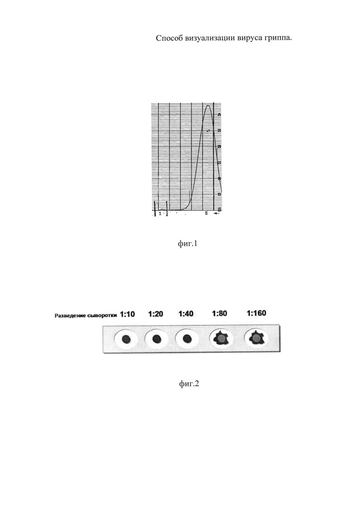 Способ визуализации вируса гриппа (патент 2649763)