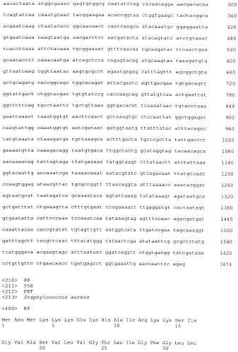 Стабильные иммуногенные композиции антигенов staphylococcus aureus (патент 2570730)