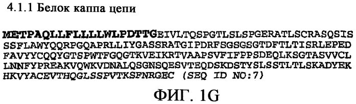 Применение антител к ctla-4 (патент 2346702)