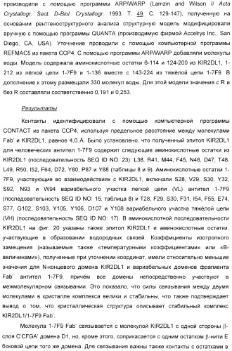 Антитела, связывающиеся с рецепторами kir2dl1,-2,-3 и не связывающиеся с рецептором kir2ds4, и их терапевтическое применение (патент 2410396)