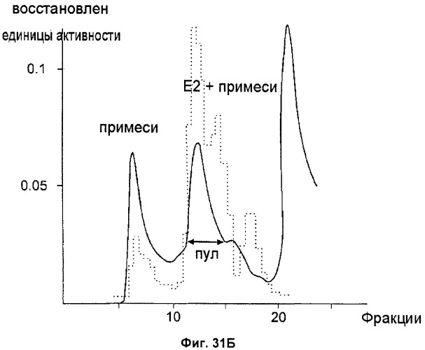 Очищенные оболочечные белки вируса гепатита с для диагностического и терапевтического применения (патент 2319505)