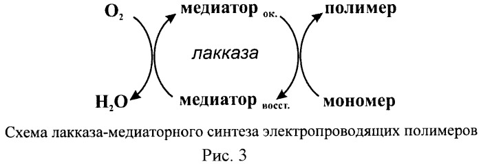 Ферментативный способ получения электропроводящих полимеров (патент 2446213)