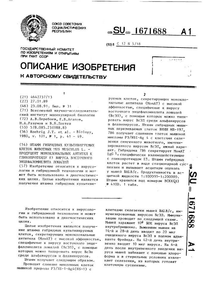 Штамм гибридных культивируемых клеток животных mus мusсulus l. - продуцент моноклональных антител к гликопротеиду е1 вируса восточного энцефаломиелита лошадей (патент 1671688)