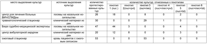 Способ определения генотипов золотистого стафилококка (патент 2526497)