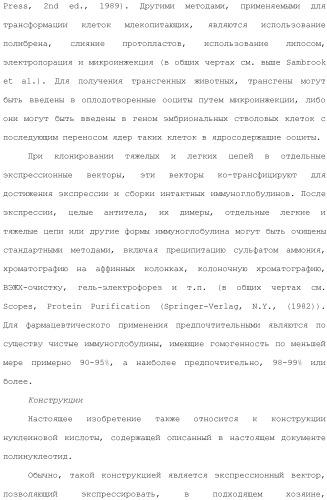 Антитела против вируса гепатита с (патент 2462475)