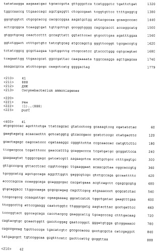 Микроорганизмы corynebacterium с повышенной продукцией 5&#39;- инозиновой кислоты и способ получения нуклеиновых кислот с их использованием (патент 2482178)