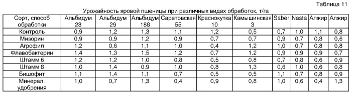 Способ оценки потенциальной продуктивности сельскохозяйственных растений, преимущественно коллекционных сортов яровых зерновых колосовых культур, при возделывании в условиях резко континентального климата (патент 2294091)