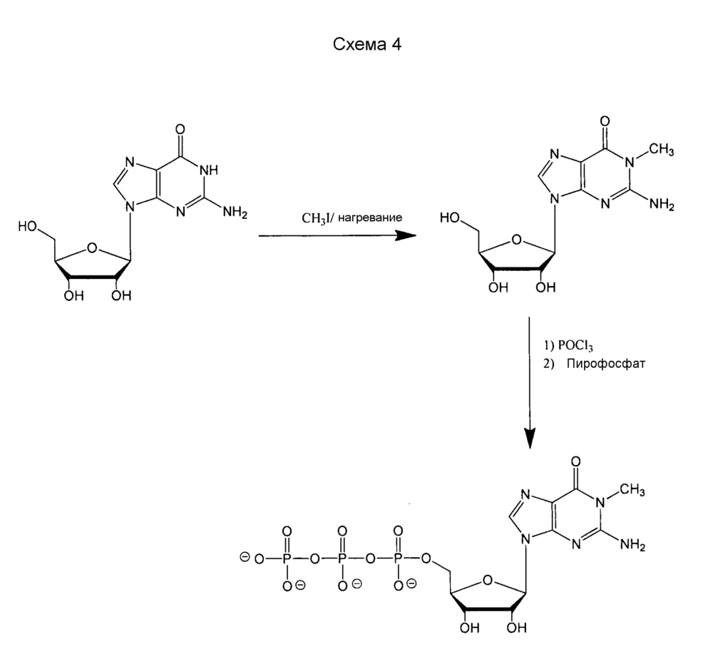 Модифицированные нуклеозиды, нуклеотиды и нуклеиновые кислоты и их применение (патент 2648950)
