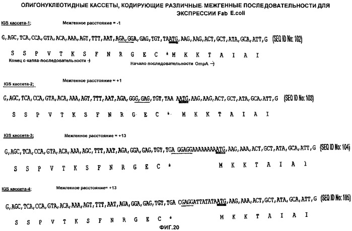 Молекулы антител, обладающие специфичностью в отношении фактора некроза альфа опухоли человека, и их применение (патент 2303604)
