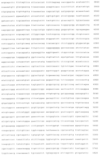 Поливалентные иммуногенные композиции pcv2 и способы получения таких композиций (патент 2577129)