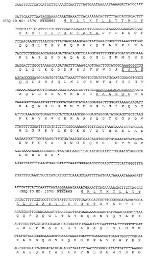 Полипептиды нетипируемой haemophilus influenzae (патент 2432357)