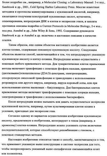 Избирательный направленный перенос в сосудистую сеть опухоли с использованием молекул антител (патент 2347787)