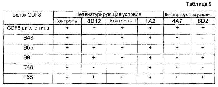 Антитела против gdf8 человека (патент 2567805)