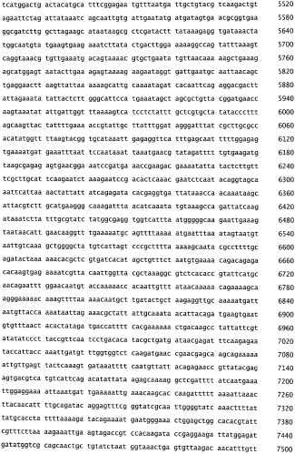 Бактериофаг, обладающий активностью против pseudomonas aeruginosa, белки бактериофага и способы их применения (патент 2580248)