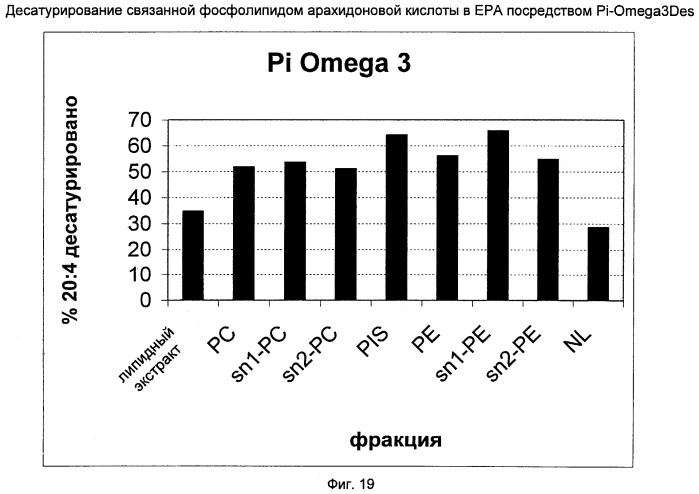 Способ получения полиненасыщенных кислот жирного ряда в трансгенных организмах (патент 2447147)