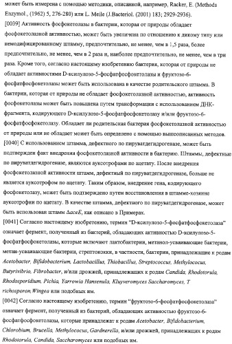 Использование фосфокетолазы для продукции полезных метаболитов (патент 2322496)