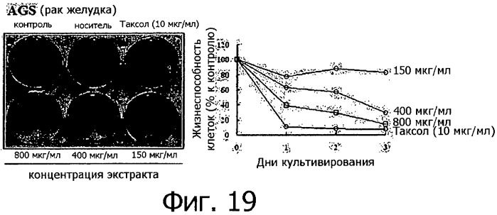 Противораковая композиция, включающая линию клеток, полученную из камбия и прокамбия стебля тисса (taxus) (патент 2440820)